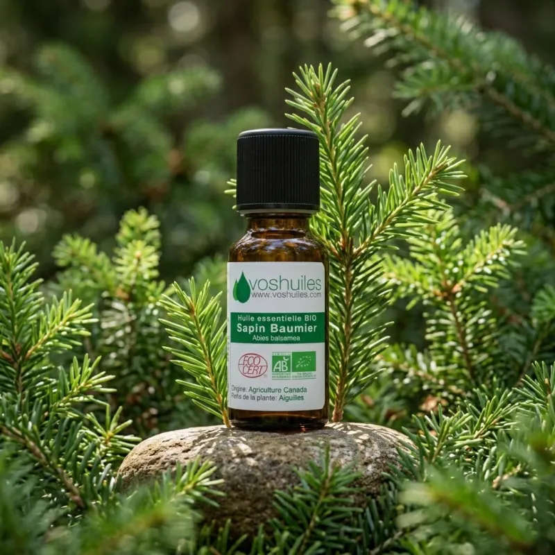Huile Essentielle Bio de Sapin Baumier