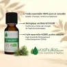 Huile Essentielle BIO de Térebenthine
