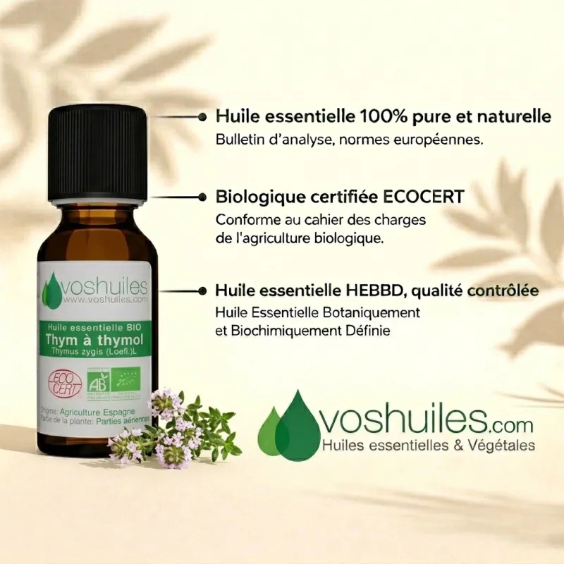 Huile Essentielle BIO de Thym à Thymol