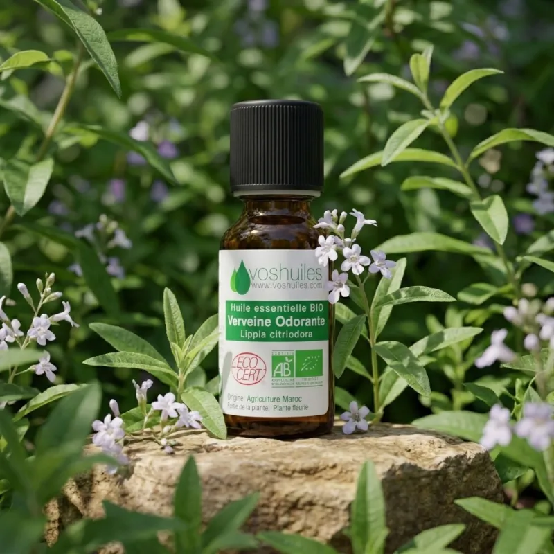 Huile Essentielle BIO de Verveine odorante