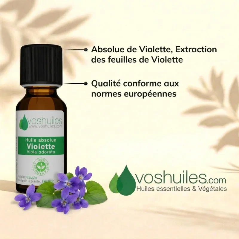 Huile Absolue de Violette (Viola odorata)