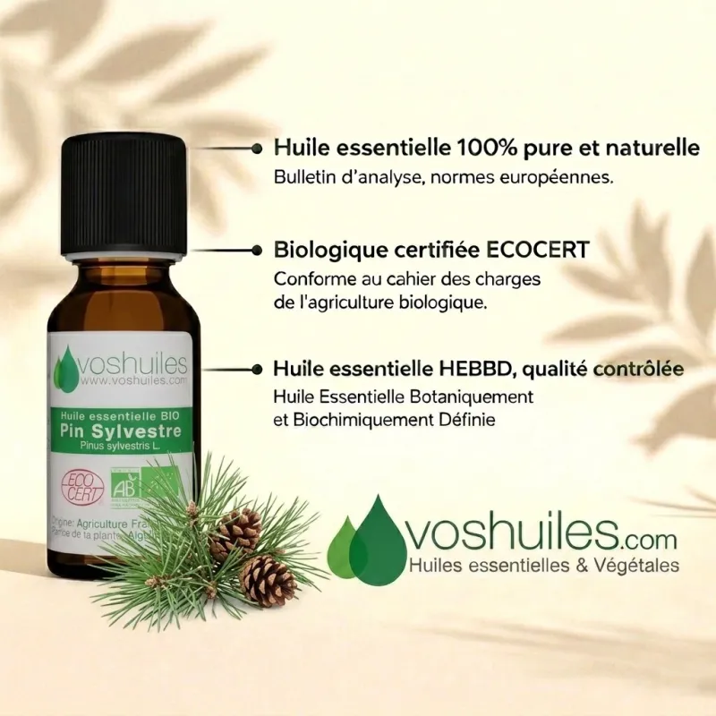 Huile Essentielle BIO de Pin Sylvestre
