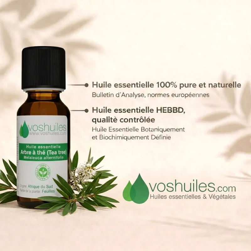 Huile Essentielle d'Arbre à thé (Tea tree)