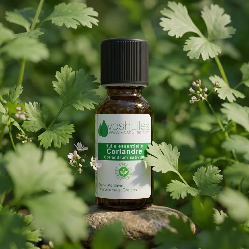 elfbar nachfüll pod läuft aus Le Labo Coriandre 39 main image 1