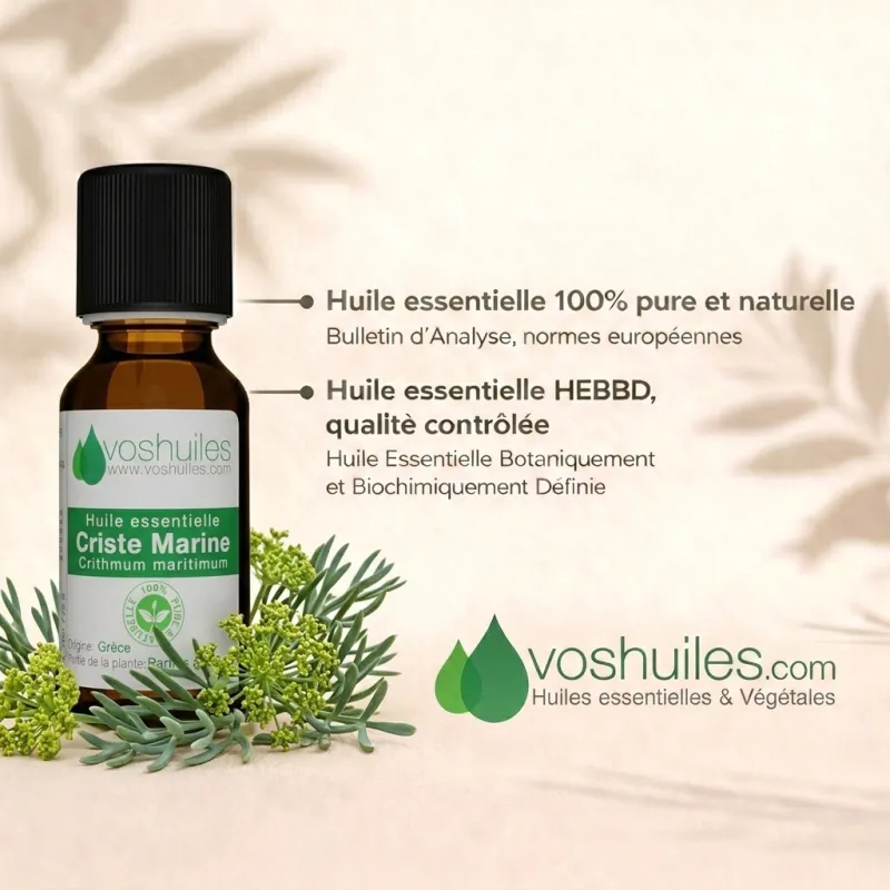Huile Essentielle de Criste Marine