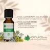 Huile Essentielle de Davana (Artemisia Pallens)