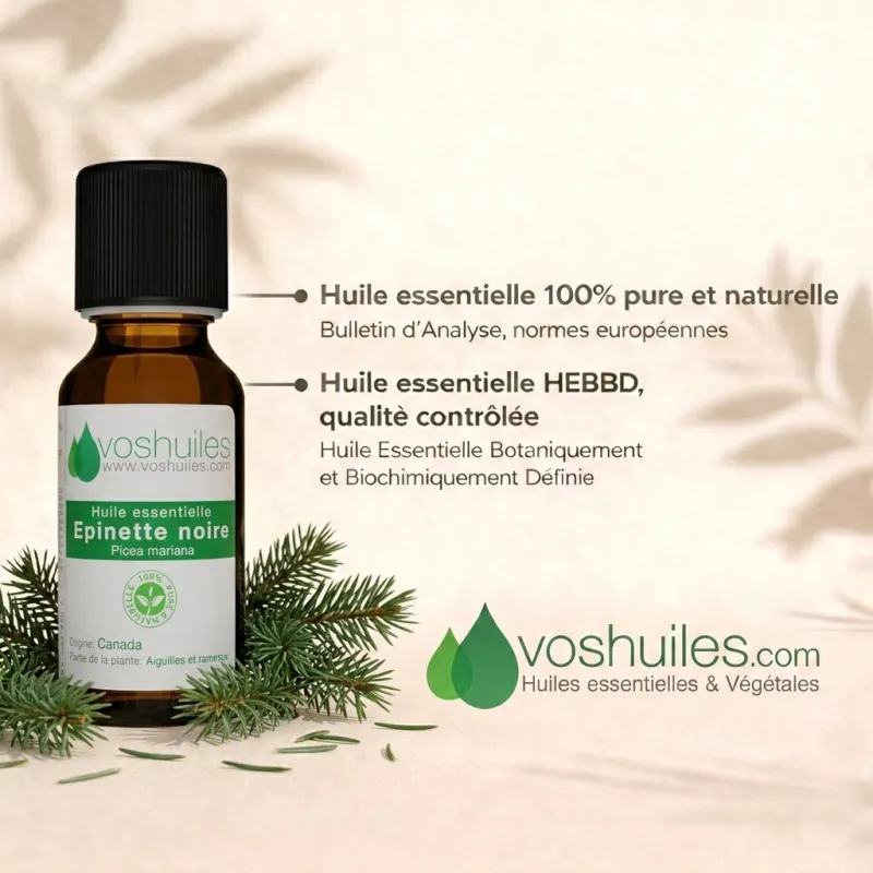 Huile Essentielle d'Epinette Noire
