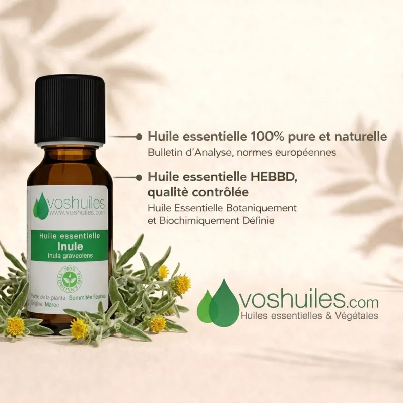 Huile Essentielle d’Inule Odorante