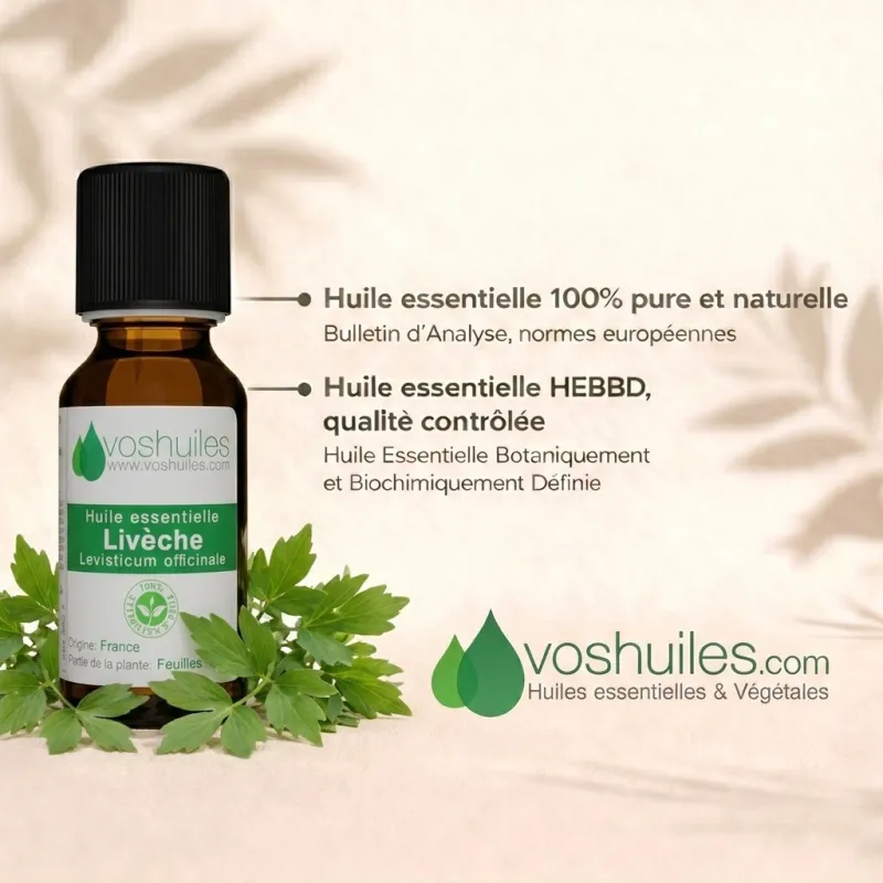 Huile Essentielle de Livèche