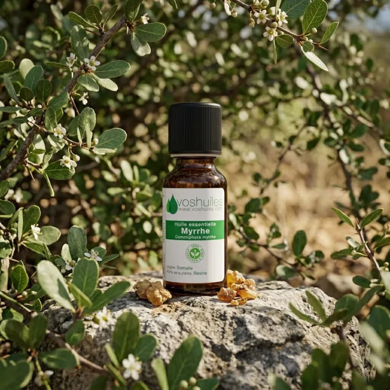 Huile Essentielle de Myrrhe | VosHuiles.com