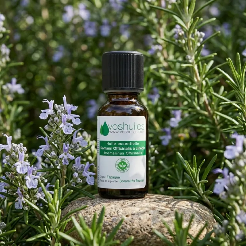 Huile Essentielle de Romarin Officinalis à cinéole