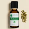 Huile Essentielle de Cardamome