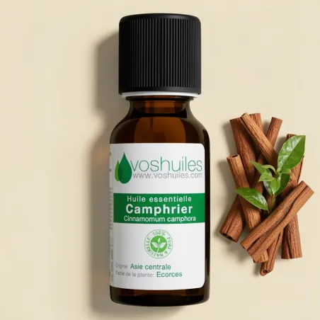 Huile Essentielle de Camphrier