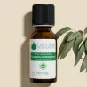Huile Essentielle d'Eucalyptus Mentholé