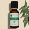 Huile Essentielle d'Eucalyptus Globulus