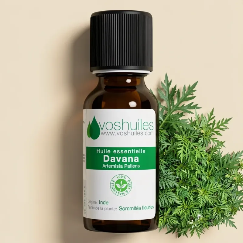 Huile Essentielle de Davana (Artemisia Pallens)