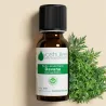 Huile Essentielle de Davana (Artemisia Pallens)