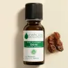 Huile Essentielle d'Elémi (Canarium luzonicum)
