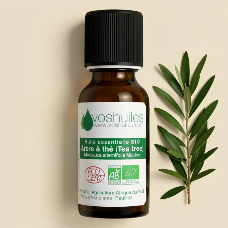 Huile Essentielle BIO d'Arbre à thé (Tea tree)