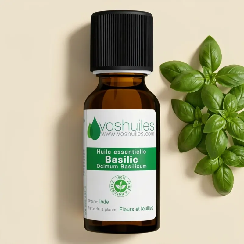 Huile Essentielle BIO de Basilic