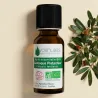 Huile Essentielle BIO de Lentisque Pistachier