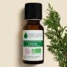 Huile Essentielle BIO de Cyprès