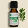 Huile Essentielle BIO d'Origan