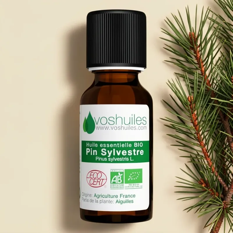 Huile Essentielle BIO de Pin Sylvestre