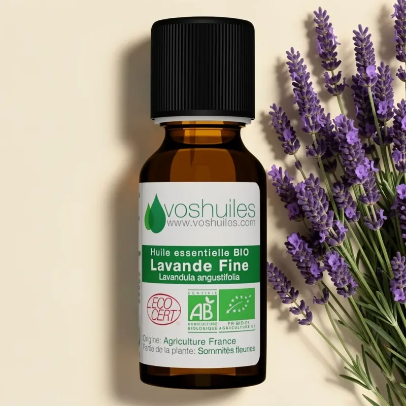 Huile Essentielle BIO de Lavande fine