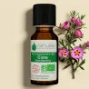 Huile Essentielle BIO de Ciste