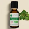 Huile Essentielle BIO de Patchouli
