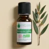 Huile Essentielle BIO d'Eucalyptus Radiata
