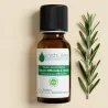 Huile Essentielle de Romarin Officinalis à cinéole