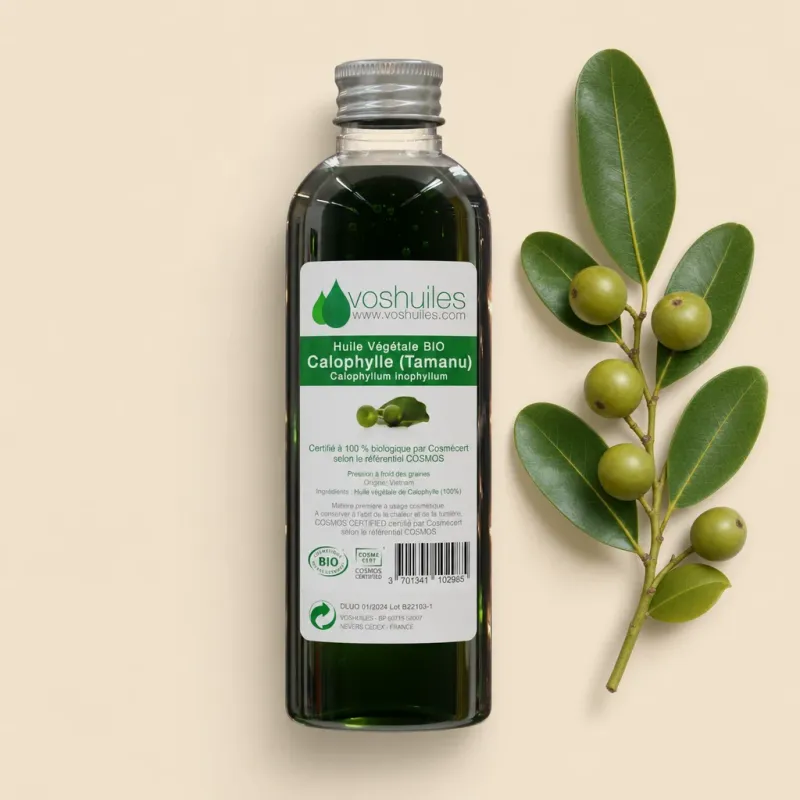 Huile Végétale de Calophylle COSMOS