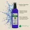Hydrolat de Mélisse