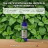Hydrolat de Mélisse