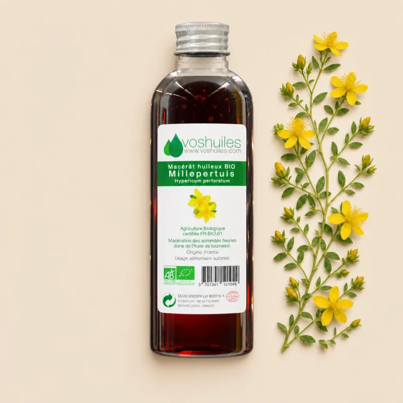 Macérât huileux BIO de Millepertuis