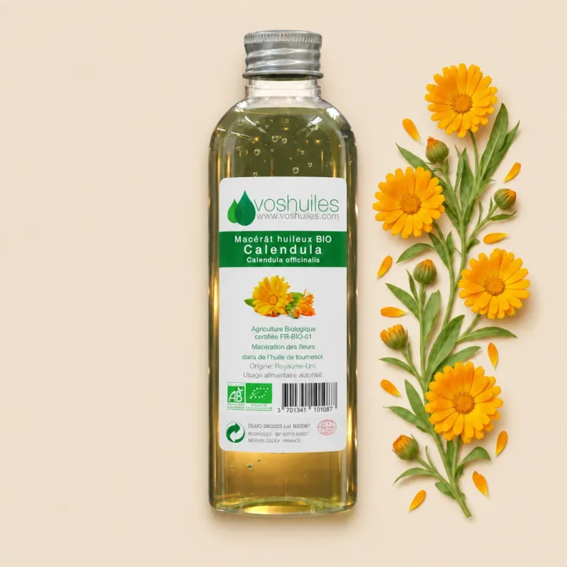 Macérât huileux BIO de Calendula