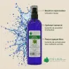 Hydrolat de Mélisse