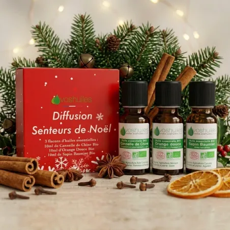 Kit Diffusion Senteurs de Noël - 3 Huiles Essentielles BIO