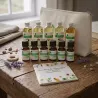 Les 12 huiles essentielles indispensables BIO