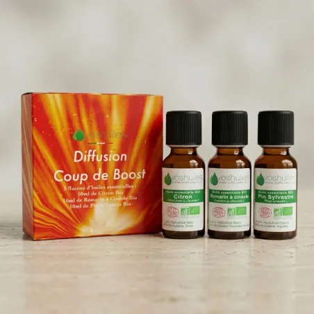 Kit Diffusion Coup de Boost...