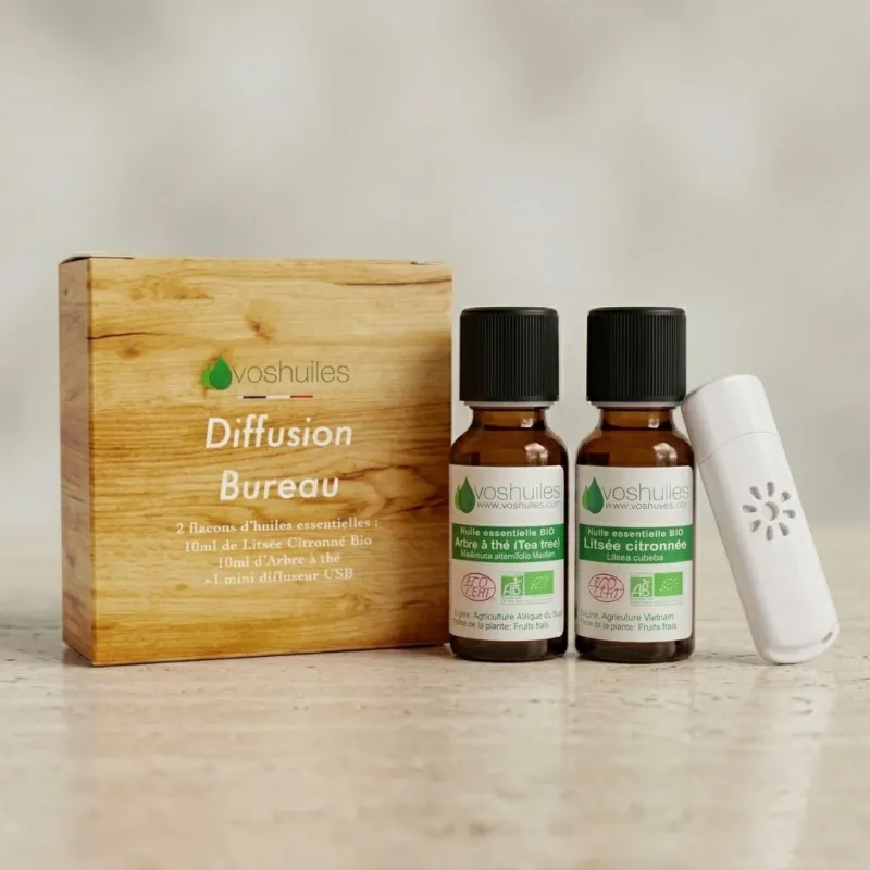 Kit Diffusion Bureau