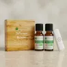 Kit Diffusion Bureau