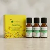 Kit Insectes, moustiques, guêpes, fourmis… - 3 Huiles Essentielles