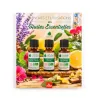 Bienfaits et utilisations des huiles essentielles