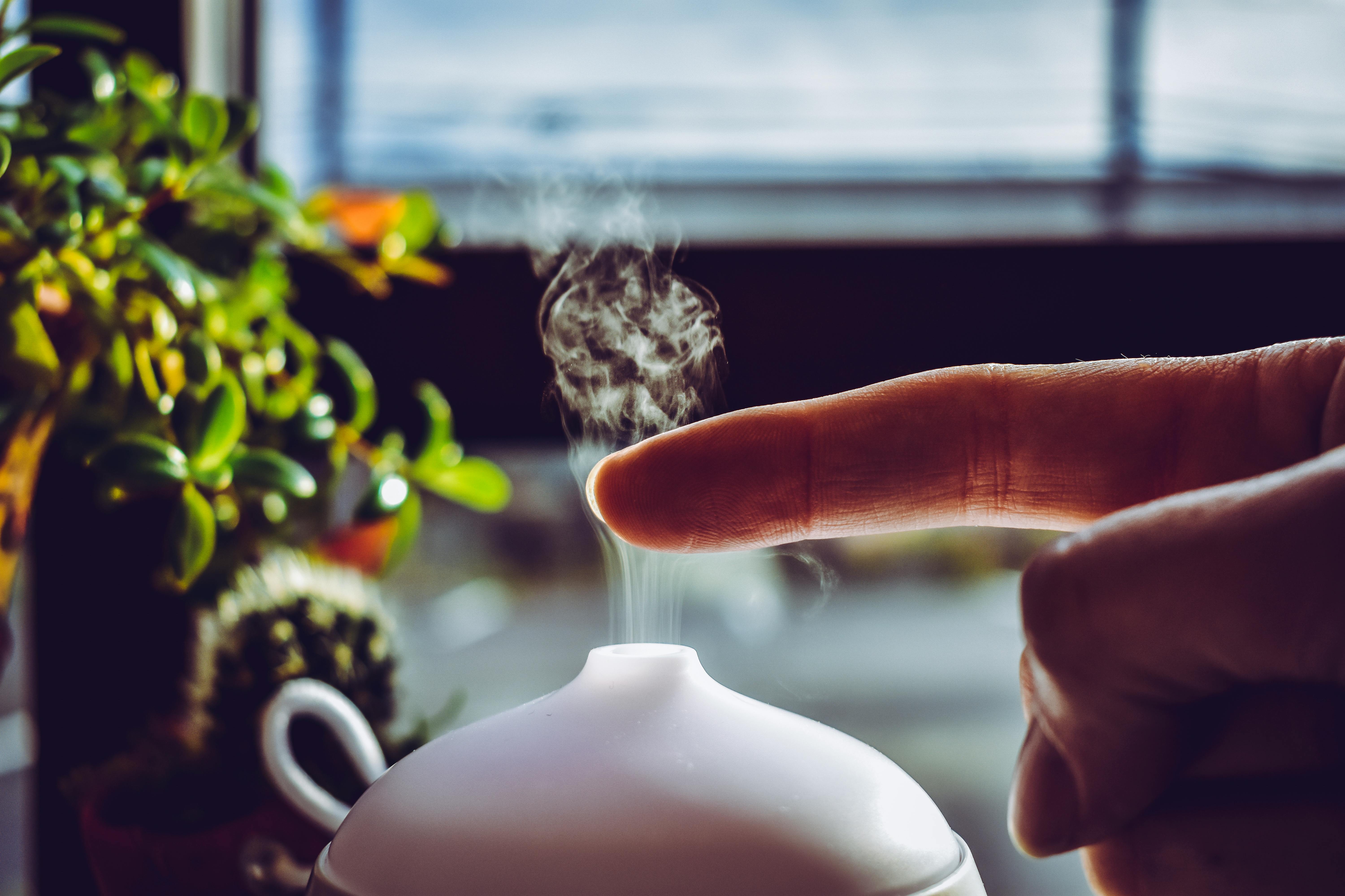 Les huiles essentielles à diffuser dans votre maison