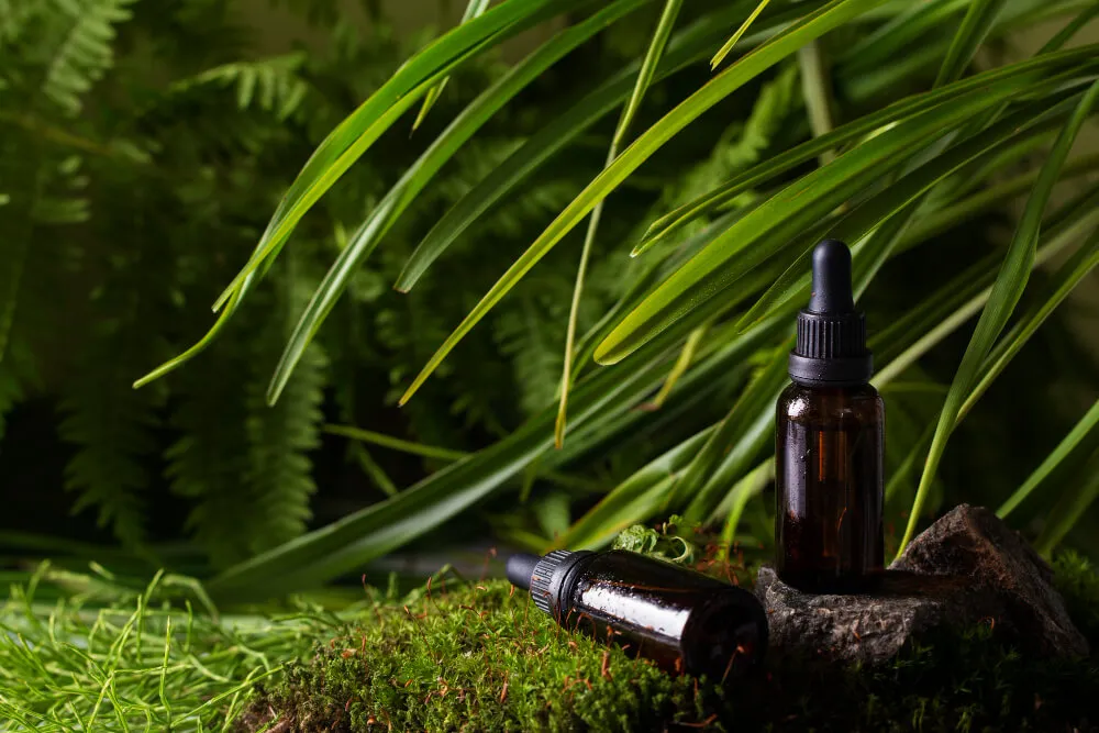 Ravintsara et tea tree : comment prendre ces deux huiles essentielles ensemble ?