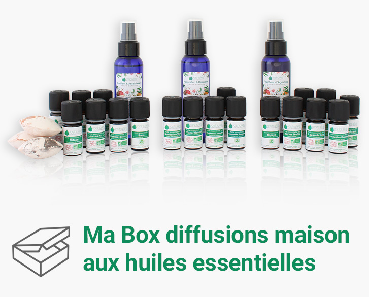 Ma Box diffusions maison aux huiles