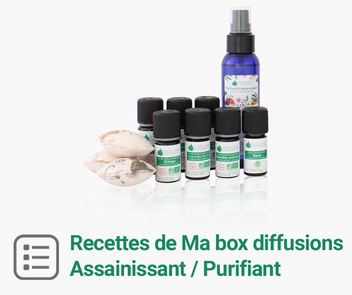 Recettes Box diffusions maison Assainissant et Purifiant